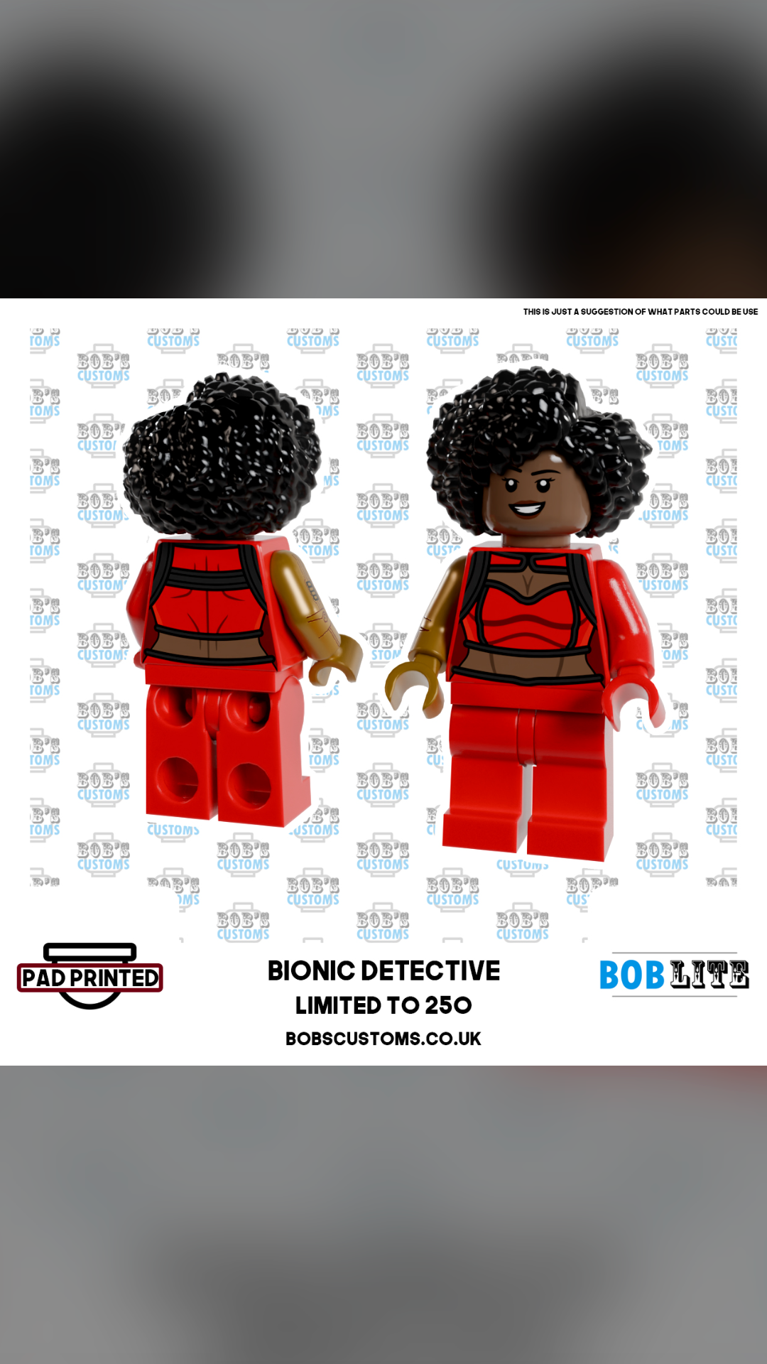 Bionic Detective - view 2