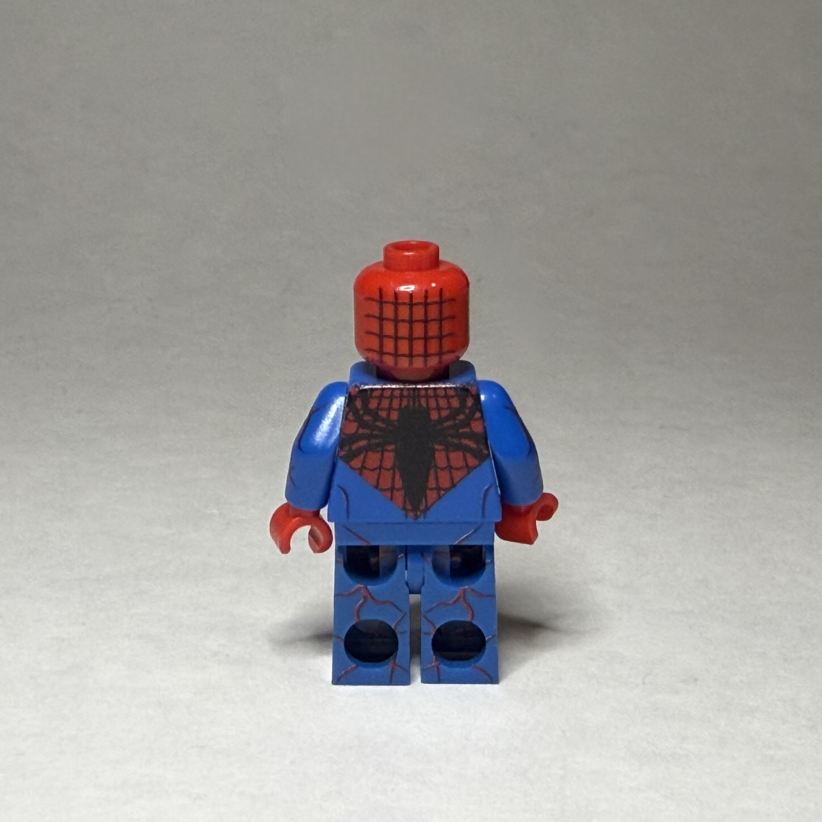 Spider Carnage   - view 2